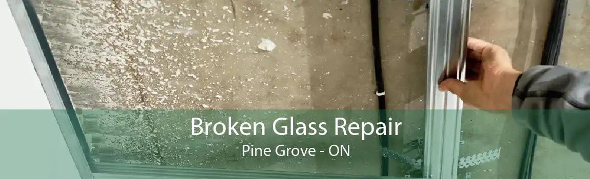 Broken Glass Repair Pine Grove - ON