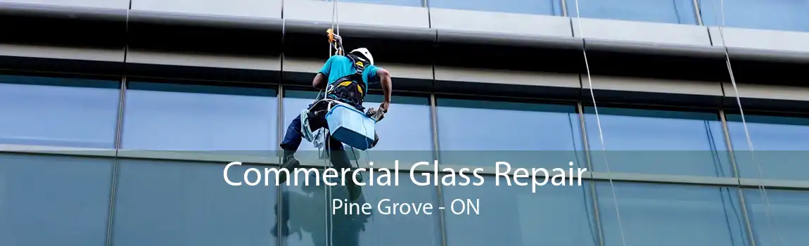 Commercial Glass Repair Pine Grove - ON