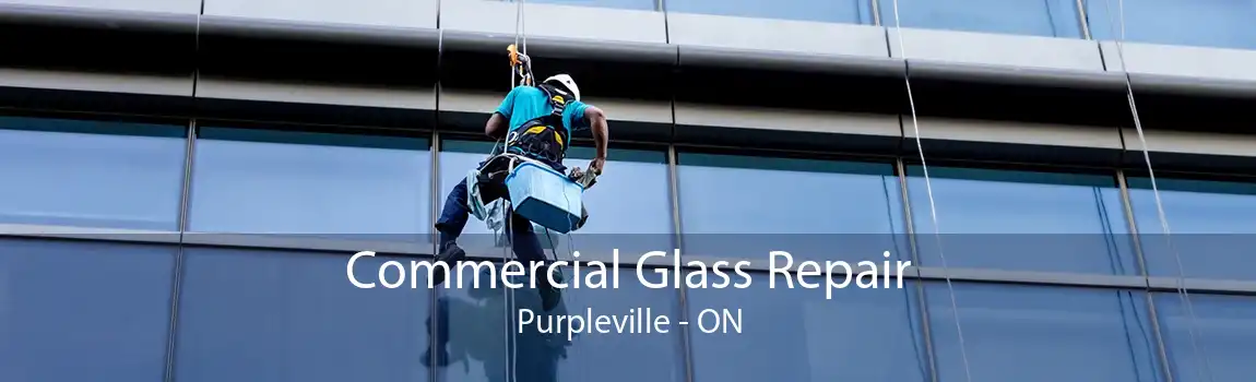 Commercial Glass Repair Purpleville - ON