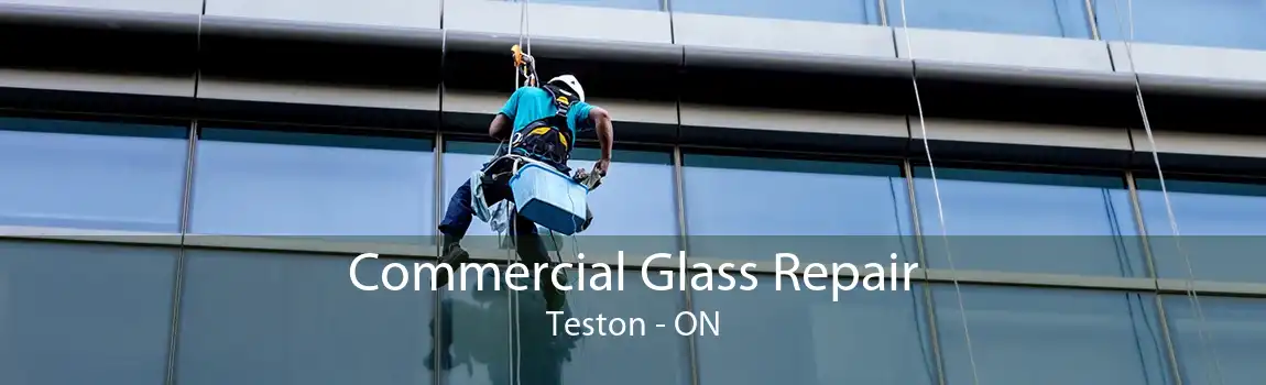 Commercial Glass Repair Teston - ON