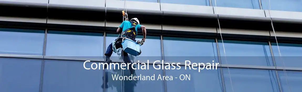 Commercial Glass Repair Wonderland Area - ON