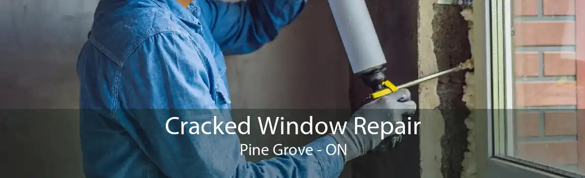 Cracked Window Repair Pine Grove - ON