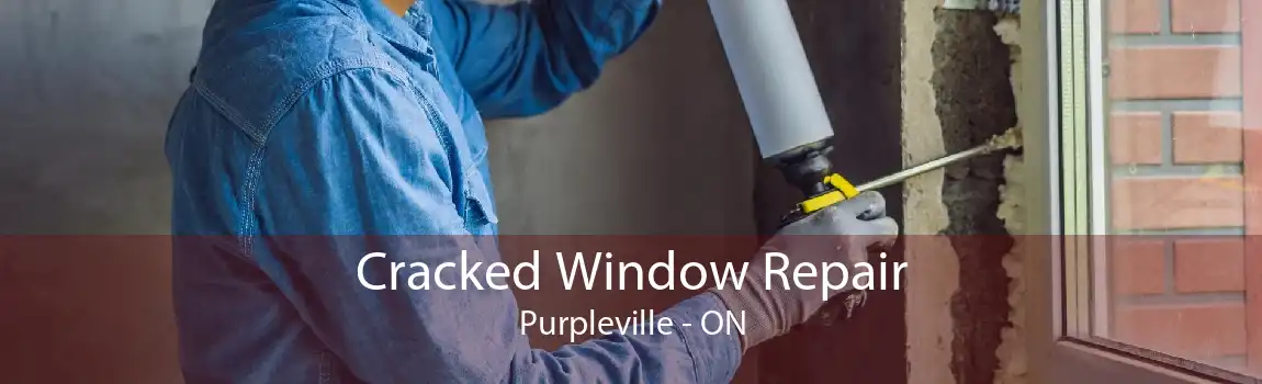 Cracked Window Repair Purpleville - ON