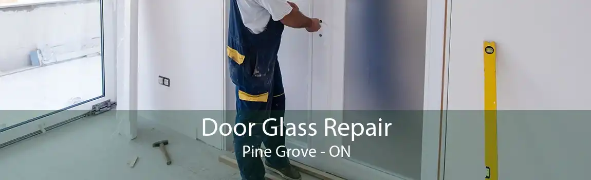 Door Glass Repair Pine Grove - ON