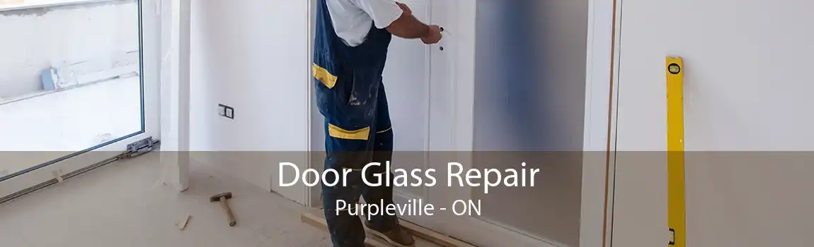 Door Glass Repair Purpleville - ON