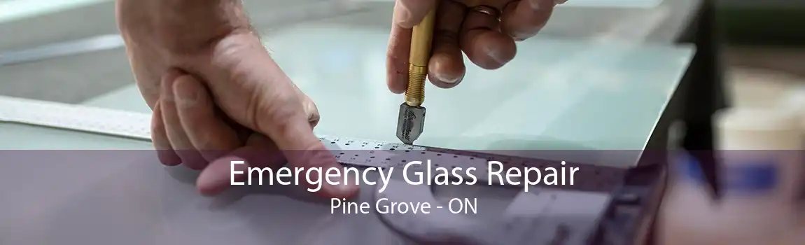 Emergency Glass Repair Pine Grove - ON