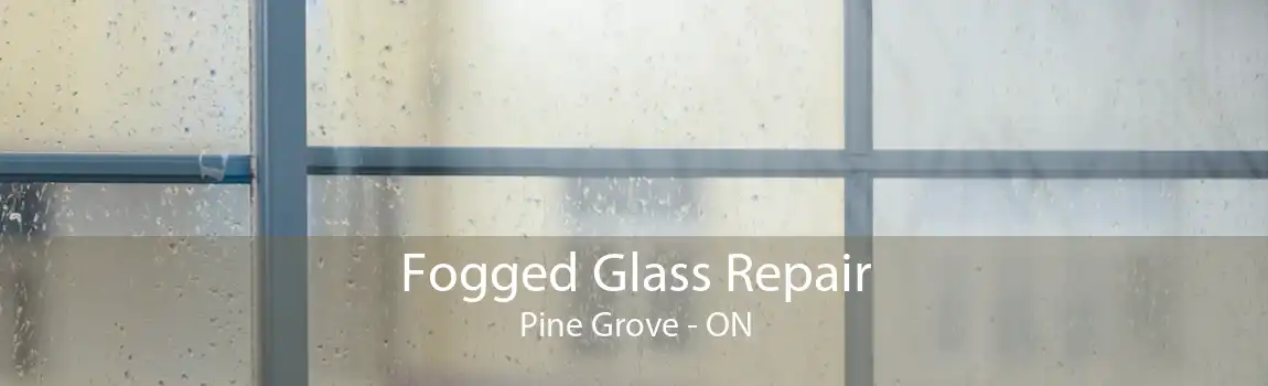 Fogged Glass Repair Pine Grove - ON