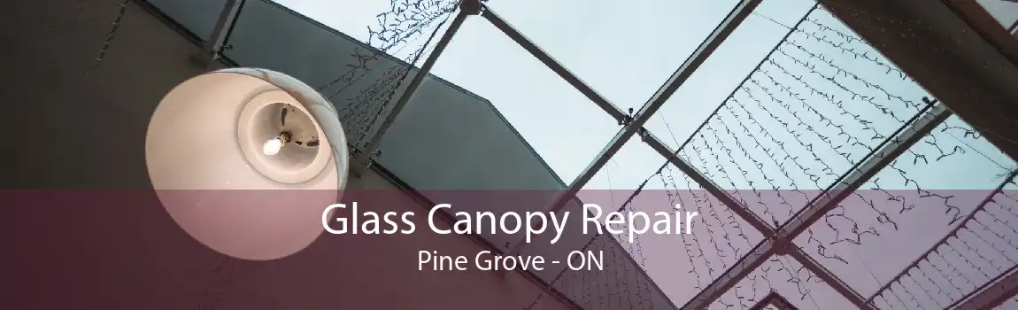 Glass Canopy Repair Pine Grove - ON