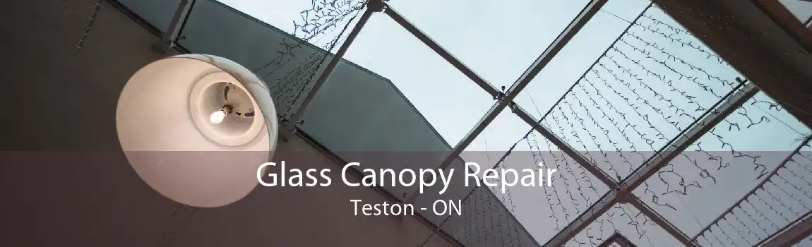 Glass Canopy Repair Teston - ON
