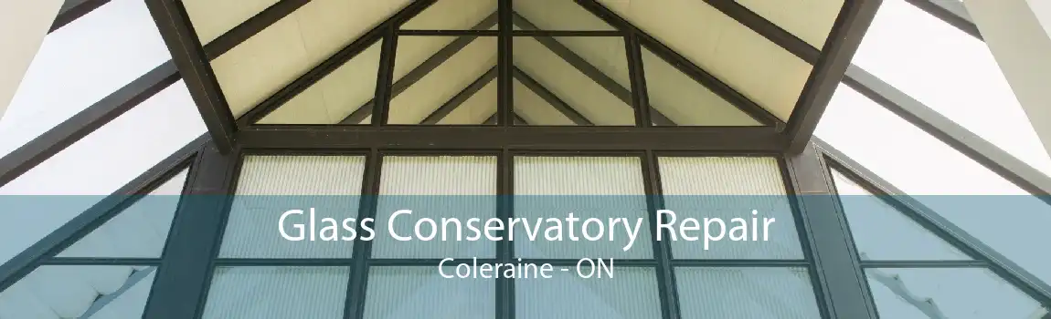 Glass Conservatory Repair Coleraine - ON