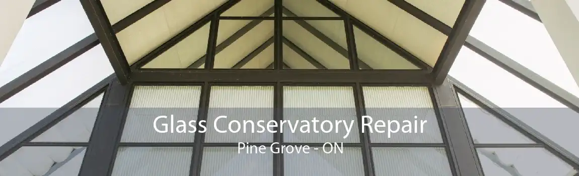 Glass Conservatory Repair Pine Grove - ON