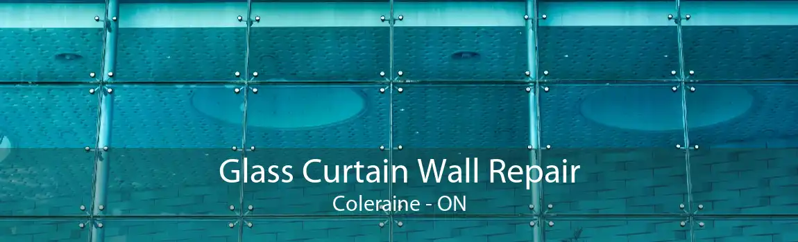 Glass Curtain Wall Repair Coleraine - ON