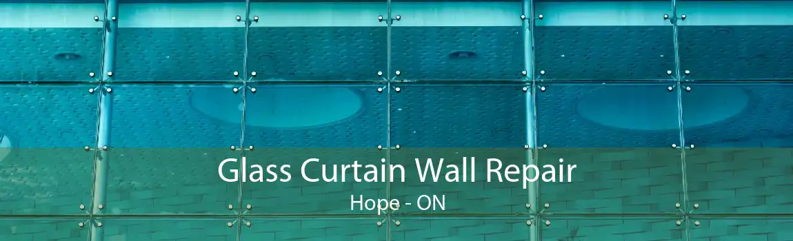 Glass Curtain Wall Repair Hope - ON