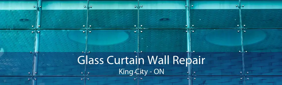 Glass Curtain Wall Repair King City - ON