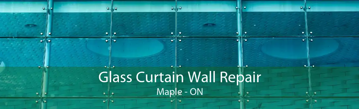 Glass Curtain Wall Repair Maple - ON