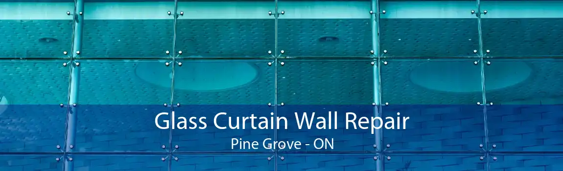Glass Curtain Wall Repair Pine Grove - ON