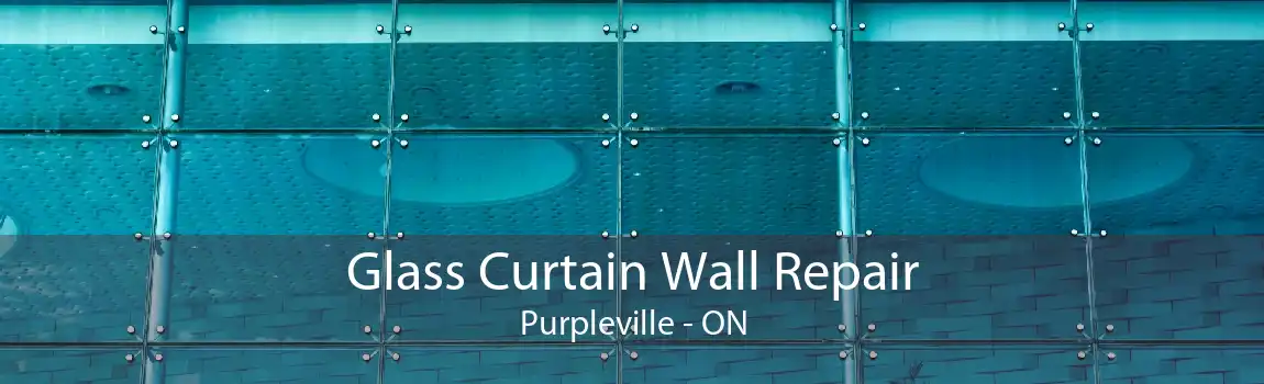 Glass Curtain Wall Repair Purpleville - ON