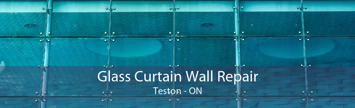 Glass Curtain Wall Repair Teston - ON