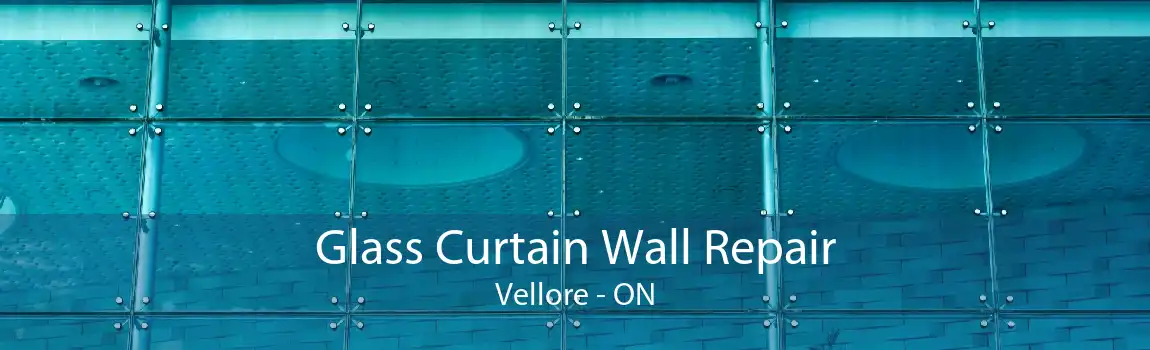Glass Curtain Wall Repair Vellore - ON