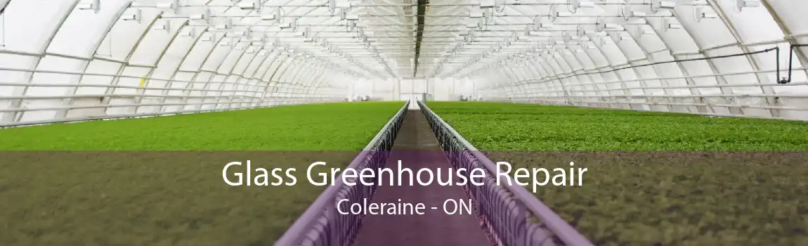 Glass Greenhouse Repair Coleraine - ON