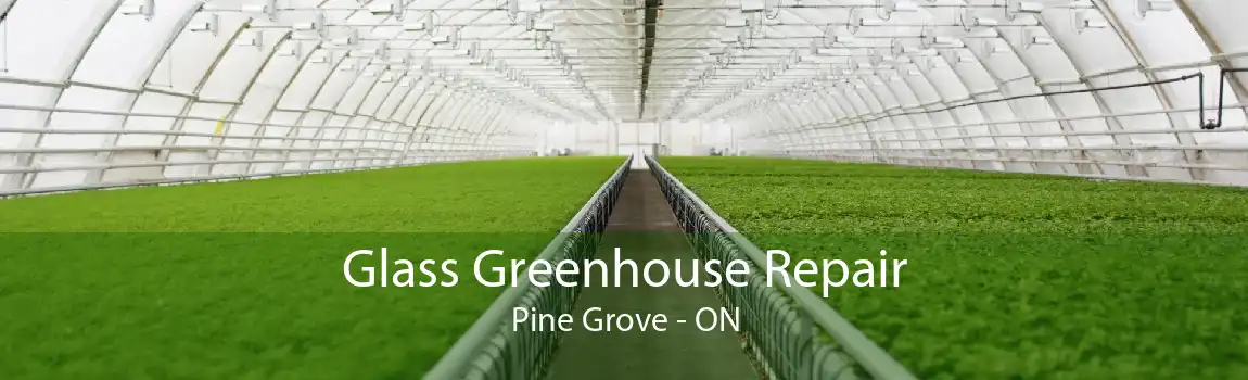 Glass Greenhouse Repair Pine Grove - ON
