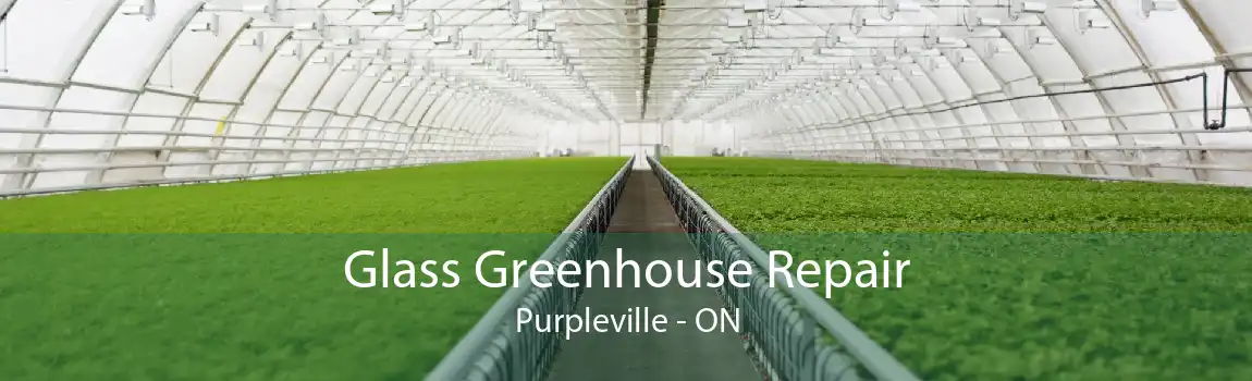 Glass Greenhouse Repair Purpleville - ON