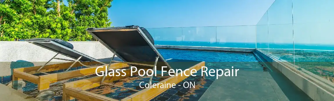 Glass Pool Fence Repair Coleraine - ON
