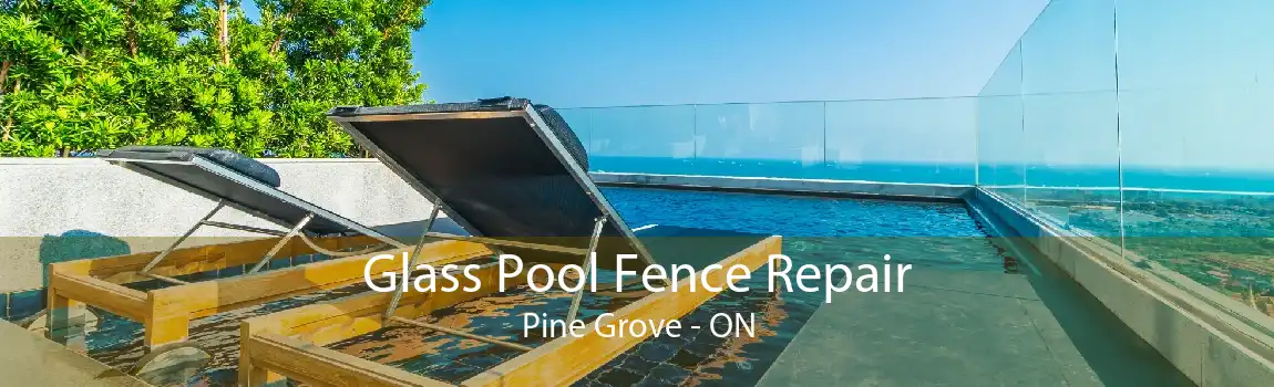 Glass Pool Fence Repair Pine Grove - ON