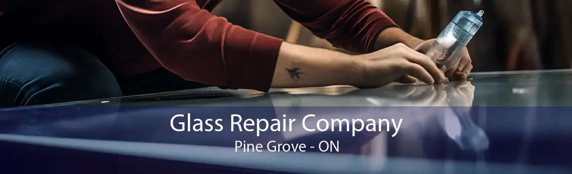 Glass Repair Company Pine Grove - ON