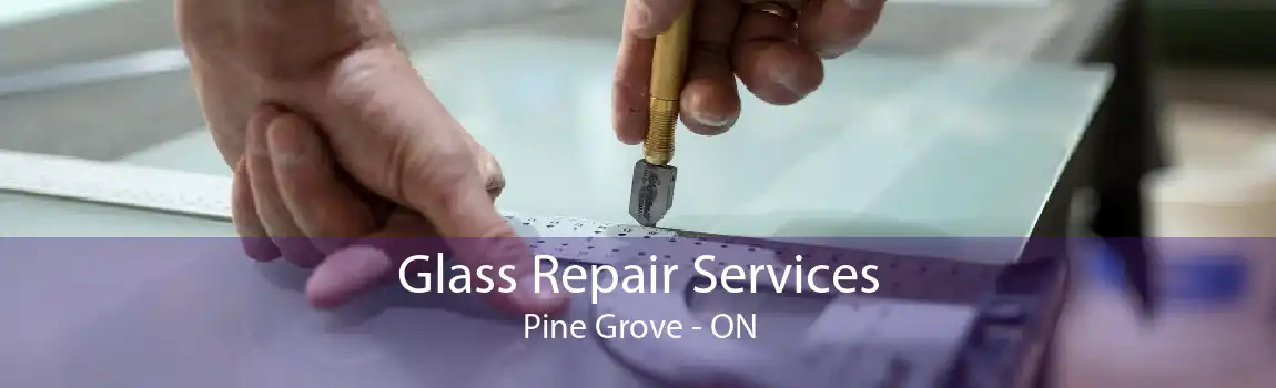 Glass Repair Services Pine Grove - ON