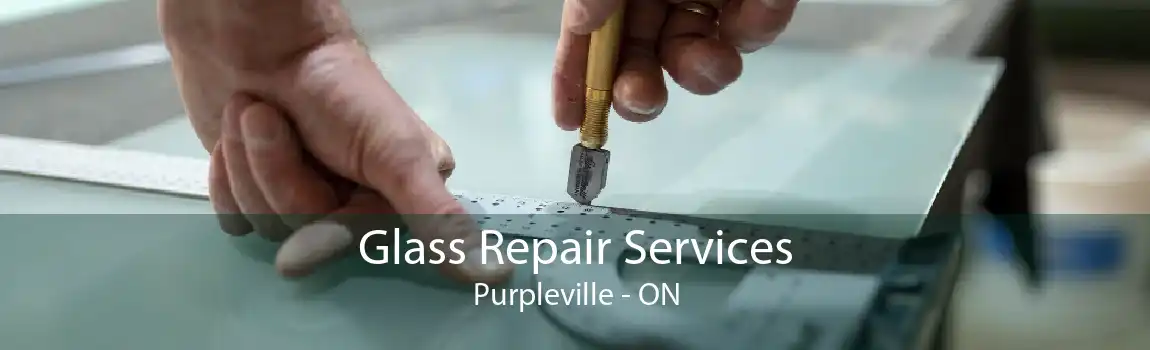 Glass Repair Services Purpleville - ON