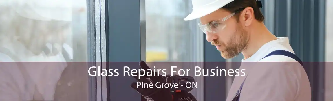 Glass Repairs For Business Pine Grove - ON