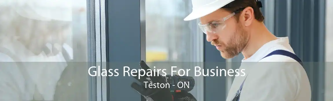 Glass Repairs For Business Teston - ON