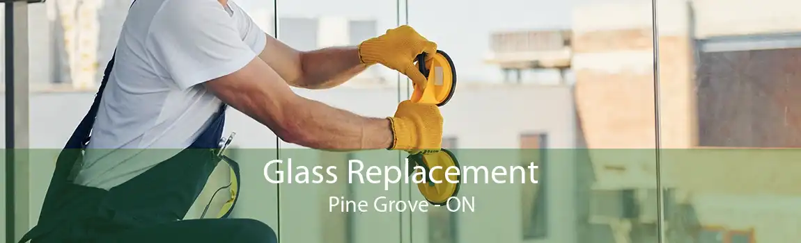 Glass Replacement Pine Grove - ON