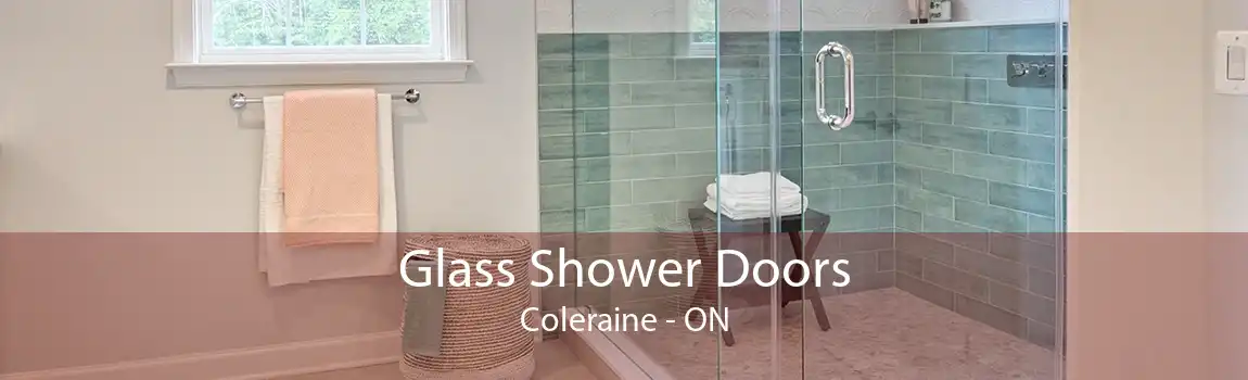 Glass Shower Doors Coleraine - ON