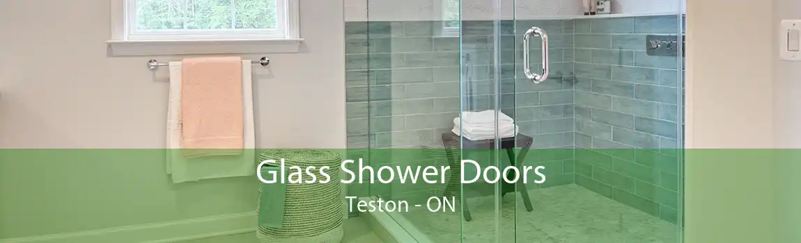 Glass Shower Doors Teston - ON