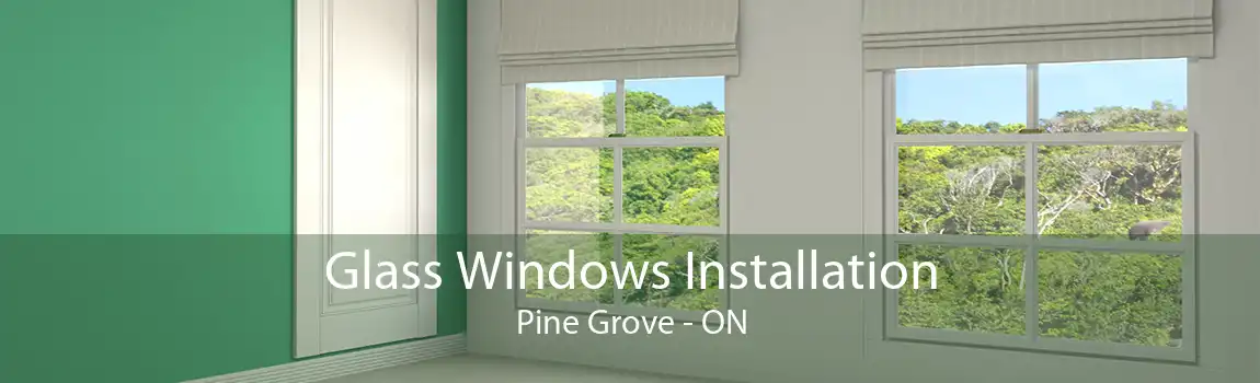 Glass Windows Installation Pine Grove - ON