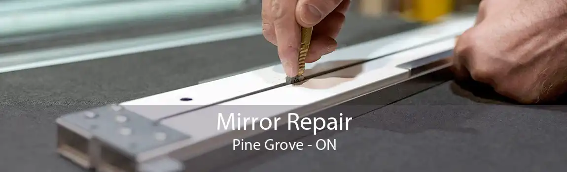 Mirror Repair Pine Grove - ON