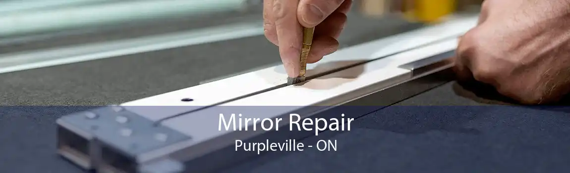 Mirror Repair Purpleville - ON