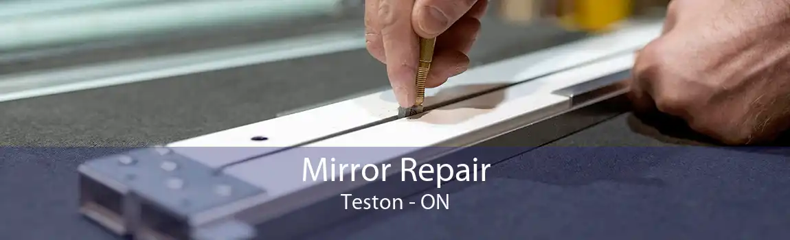 Mirror Repair Teston - ON