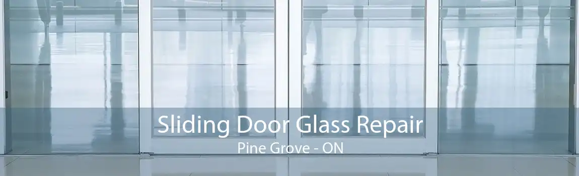Sliding Door Glass Repair Pine Grove - ON