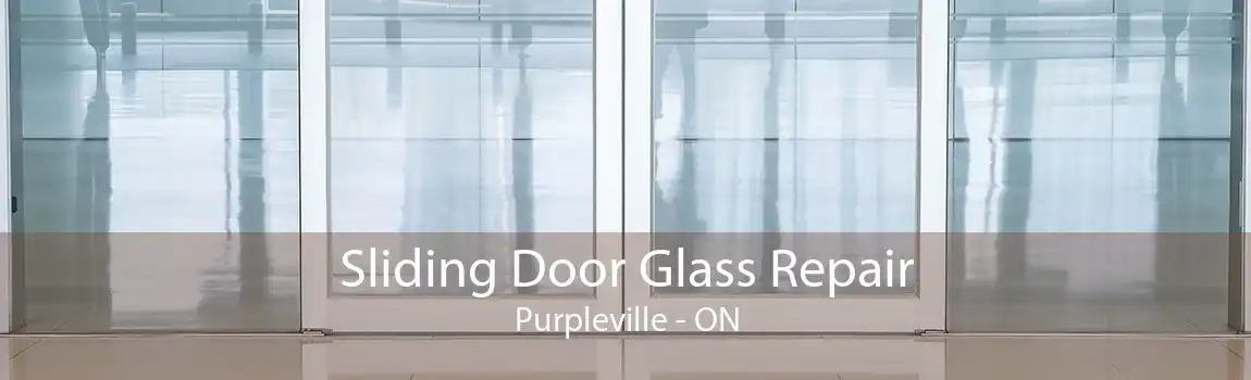 Sliding Door Glass Repair Purpleville - ON
