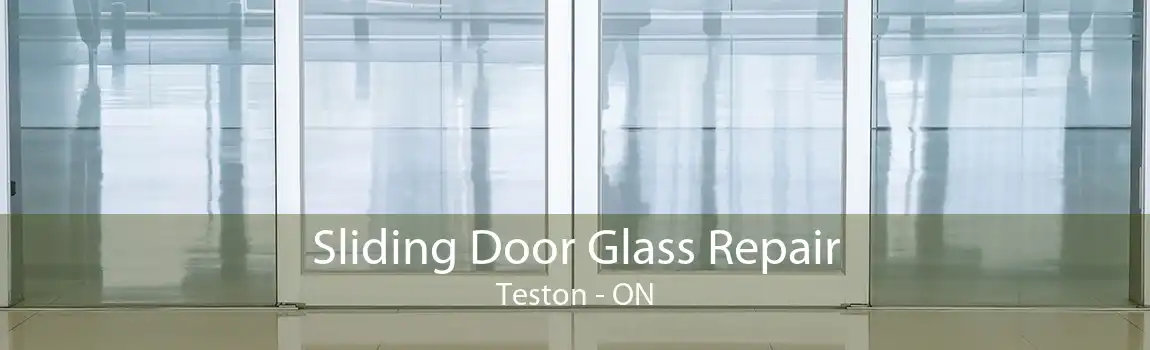 Sliding Door Glass Repair Teston - ON