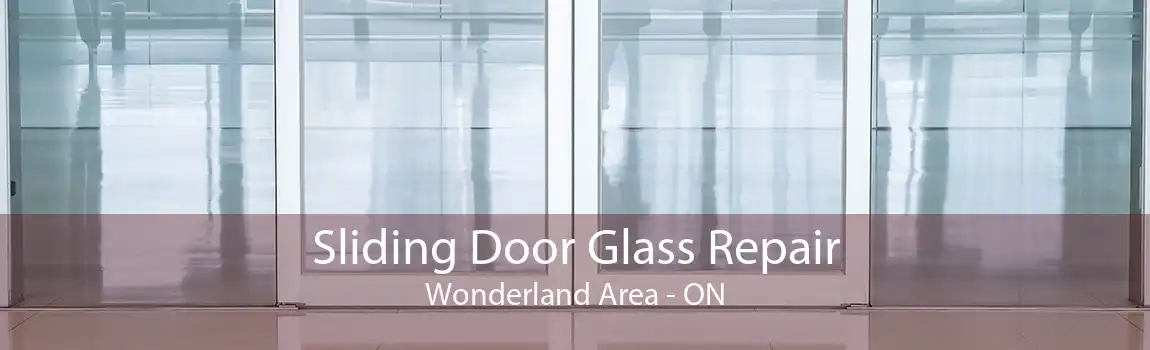 Sliding Door Glass Repair Wonderland Area - ON