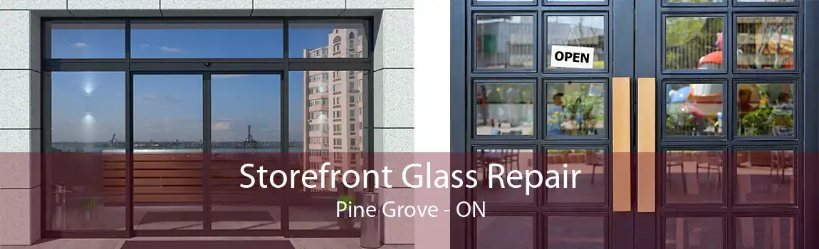 Storefront Glass Repair Pine Grove - ON