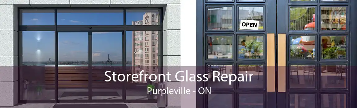 Storefront Glass Repair Purpleville - ON