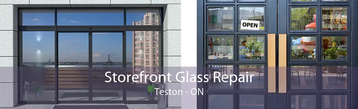 Storefront Glass Repair Teston - ON
