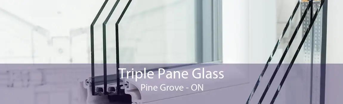 Triple Pane Glass Pine Grove - ON