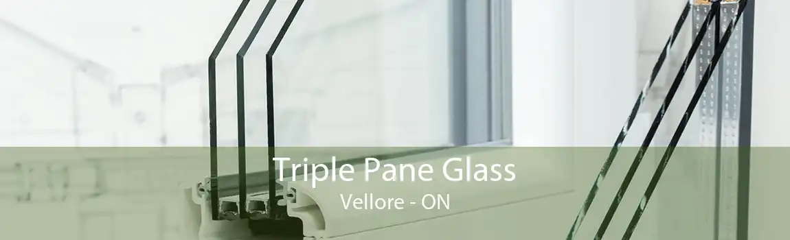 Triple Pane Glass Vellore - ON