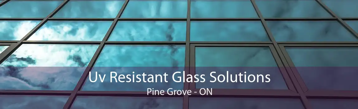 Uv Resistant Glass Solutions Pine Grove - ON